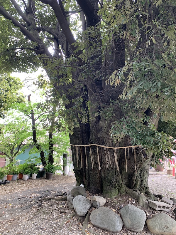 愛知県東海市 熊野神社
