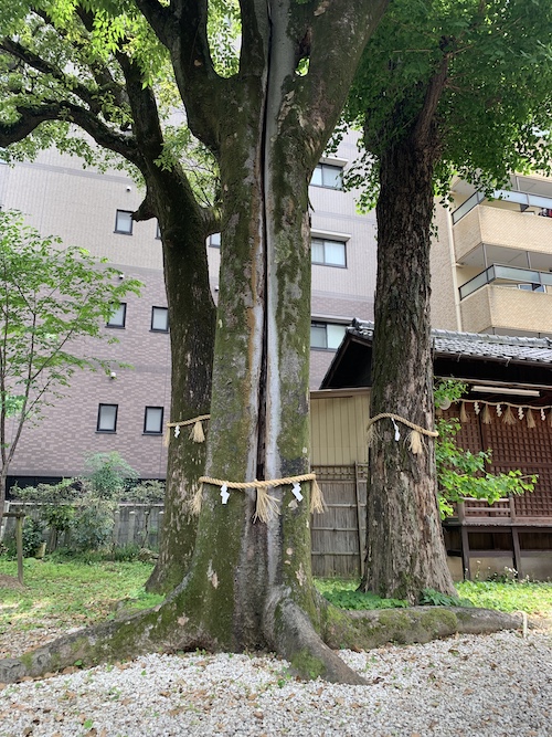 名古屋市東区 冨士神社